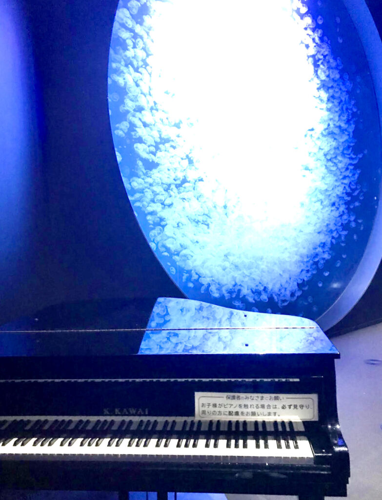 kawaiピア丿　山形県鶴岡 kawaiピア丿 山形県鶴岡